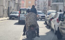 Motosiklet Üzerinde Tehlikeli Yolculuk