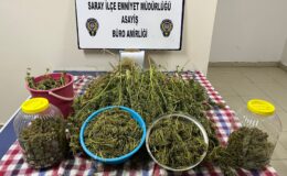 Tekirdağ’ın O İlçesinde Depodan 3 Kilo Kenevir Çıktı