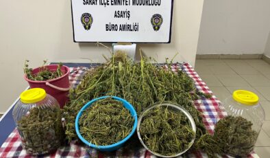 Tekirdağ’ın O İlçesinde Depodan 3 Kilo Kenevir Çıktı