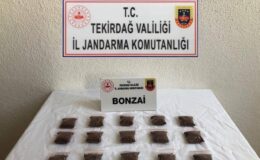 Bonzai Getirirken Yakalandı