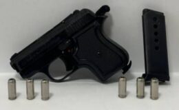 Tekirdağ’da Silahlar Ele Geçirildi 