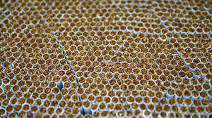 Araçtaki kaçak sigaralara el koydular