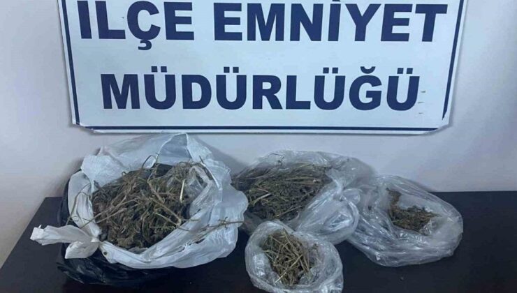 Tekirdağ’da 12 Kişi Uyuşturucudan Yakalandı 