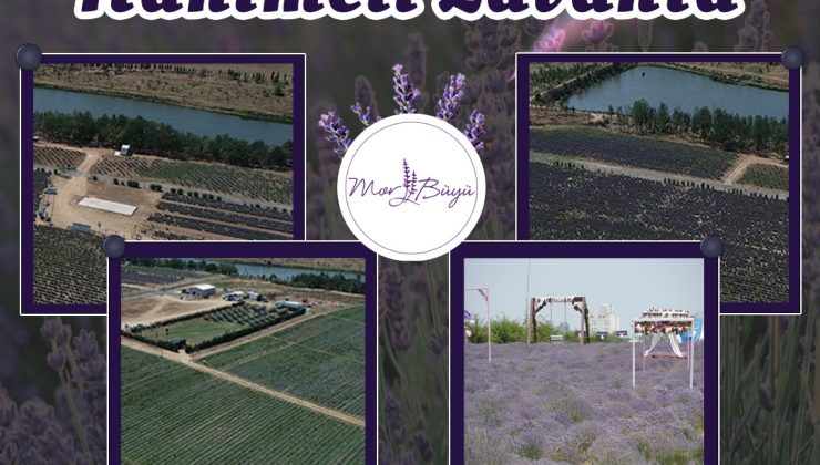 Ergene Belediyesi Ebsan AŞ, Vatandaş Odaklı Çalışıyor