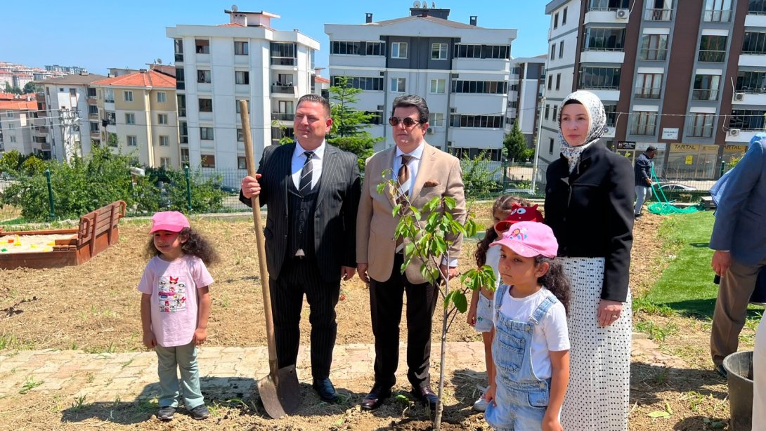 Selvi Ağca Kızılay Anaokulu Bahçesinde Kiraz Fidanları Toprakla Buluştu